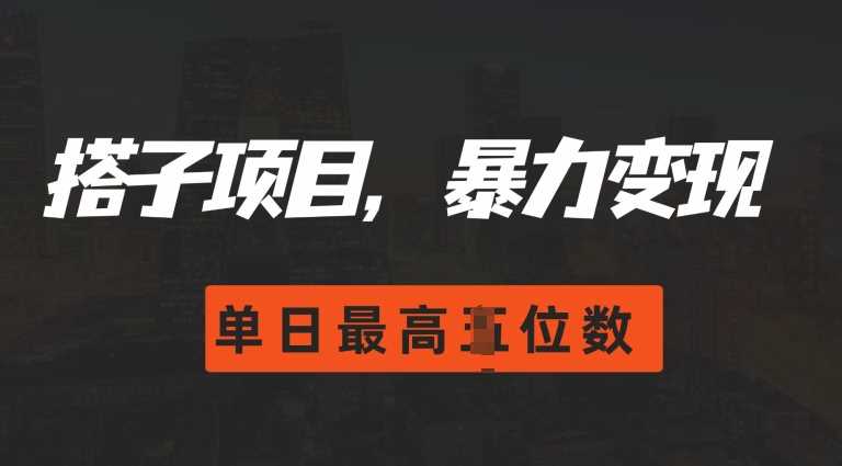 2024搭子玩法，0门槛，暴力变现，单日最高破四位数【揭秘】-吾爱自习网