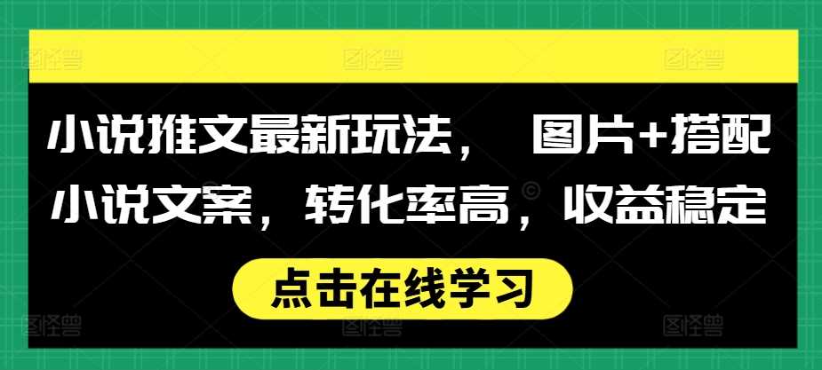 小说推文最新玩法， 图片+搭配小说文案，转化率高，收益稳定-大海创业网