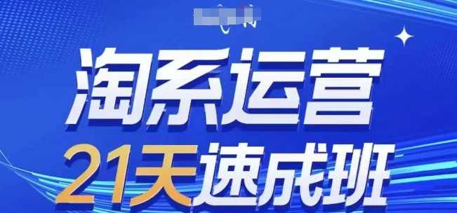 淘系运营21天速成班(更新24年11月)，0基础轻松搞定淘系运营，不做假把式-智慧宝库