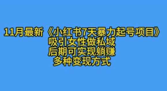 K总部落11月最新小红书7天暴力起号项目，吸引女性做私域【揭秘】-吾爱自习网