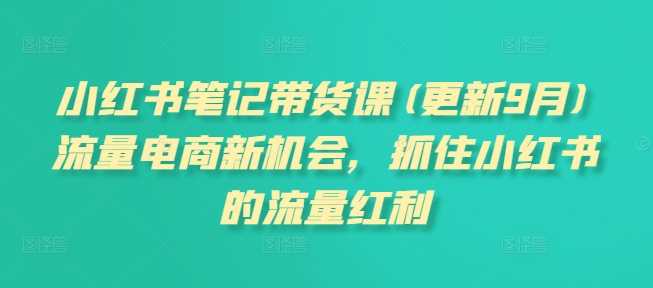 小红书笔记带货课(更新11月)流量电商新机会，抓住小红书的流量红利-吾爱自习网