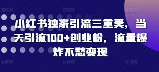 小红书独家引流三重奏，当天引流100+创业粉，流量爆炸不愁变现【揭秘】-吾爱自习网