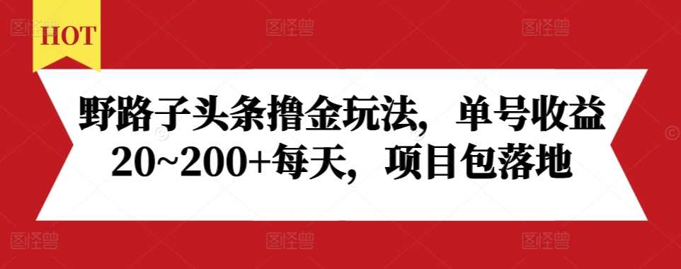 野路子头条撸金玩法，单号收益20~200+每天，项目包落地-吾爱自习网