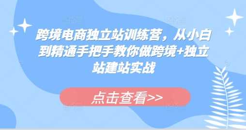 跨境电商独立站训练营，从小白到精通手把手教你做跨境+独立站建站实战-富业网创