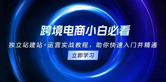 跨境电商小白必看！独立站建站+运营实战教程，助你快速入门并精通-吾爱自习