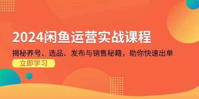 （13290期）2024闲鱼运营实战课程：揭秘养号、选品、发布与销售秘籍，助你快速出单-吾爱自习