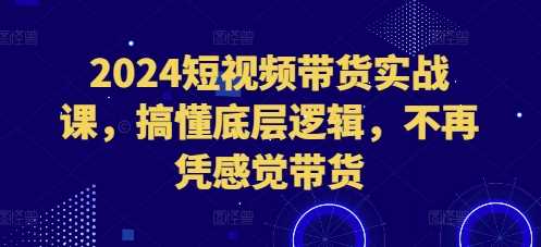 2024短视频带货实战课，搞懂底层逻辑，不再凭感觉带货-吾爱自习网