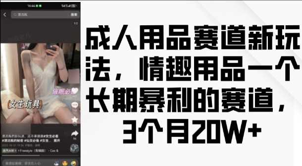 成人用品赛道新玩法，情趣用品一个长期暴利的赛道，3个月收益20个【揭秘】-富业网创