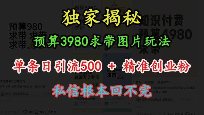 预算3980求带 图片玩法，单条日引流500+精准创业粉，私信根本回不完-富业网创