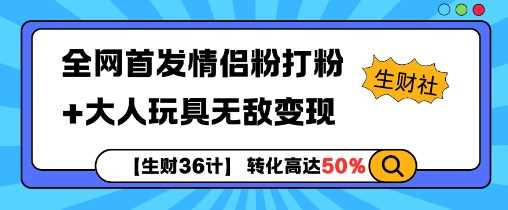 【生财36计】全网首发情侣粉打粉+大人玩具无敌变现-大海创业网