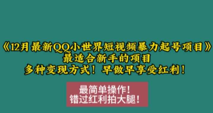 12月最新QQ小世界短视频暴力起号项目，最适合新手的项目，多种变现方式-富业网创