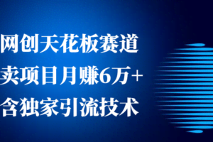 网创天花板赛道，卖项目月赚6万+，含独家引流技术（共26节课）