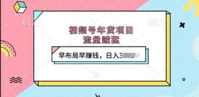 视频号年货项目，流量贼猛，早布局早挣钱，日入上k【揭秘】-吾爱自习网