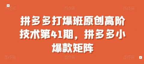 拼多多打爆班原创高阶技术第41期，拼多多小爆款矩阵-吾爱自习网