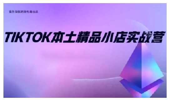 TikTok本土精品小店出海实战营，从入门到高阶，不止0-1!-吾爱自习网