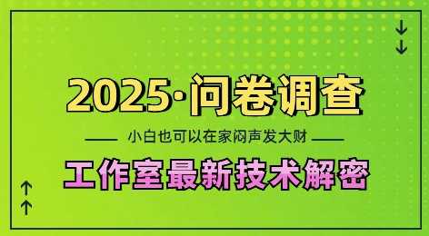 2025问卷调查最新工作室技术解密：一个人在家也可以闷声发大财，小白一天2张，可矩阵放大【揭秘】-富业网创