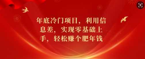 年底冷门项目，利用信息差，实现零基础上手，轻松赚个肥年钱【揭秘】-吾爱自习网