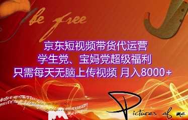 京东短视频带货代运营，学生党、宝妈党超级福利，只需每天无脑上传视频，月入8000+【仅揭秘】-富业网创