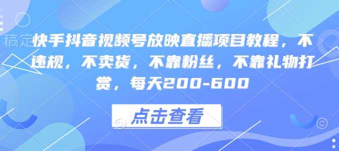 快手抖音视频号放映直播项目教程，不违规，不卖货，不靠粉丝，不靠礼物打赏，每天200-600-富业网创