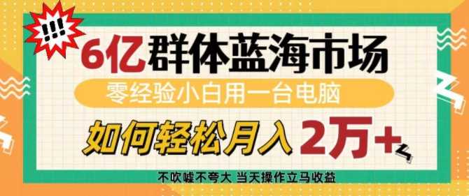 6亿群体蓝海市场，零经验小白用一台电脑，如何轻松月入过w【揭秘】-富业网创