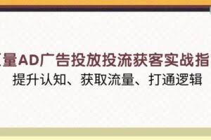 （13872期）巨量AD广告投放投流获客实战指南，提升认知、获取流量、打通逻辑