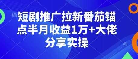 短剧推广拉新番茄锚点半月收益1万+大佬分享实操-富业网创