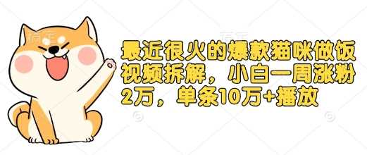 最近很火的爆款猫咪做饭视频拆解，小白一周涨粉2万，单条10万+播放(附保姆级教程)-富业网创