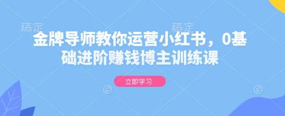 金牌导师教你运营小红书，0基础进阶赚钱博主训练课-富业网创