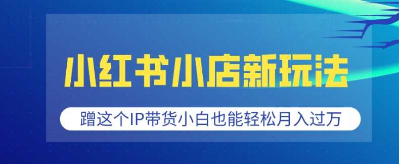 小红书小店新玩法，蹭这个IP带货，小白也能轻松月入过W【揭秘】-富业网创