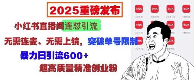 2025重磅发布：小红书直播间连怼引流，无需连麦、无需上镜，突破单号限制，暴力日引流600+-富业网创