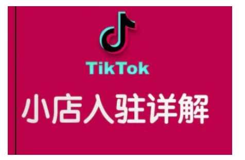 TikTok跨境小店运营全攻略，帮助你独立运营TK跨境小店的能力，实现销量增长-富业网创