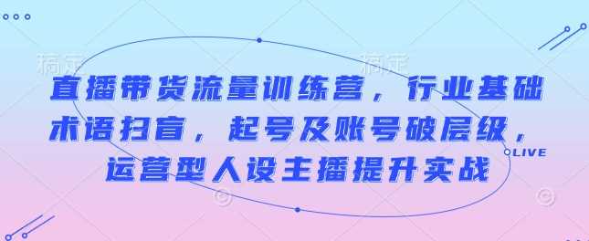 直播带货流量训练营，行业基础术语扫盲，起号及账号破层级，运营型人设主播提升实战-富业网创