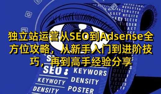 独立站运营从SEO到Adsense全方位攻略，从新手入门到进阶技巧，再到高手经验分享-富业网创