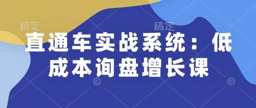 直通车实战系统：低成本询盘增长课，让个人通过技能实现升职加薪，让企业低成本获客，订单源源不断-吾爱自习网