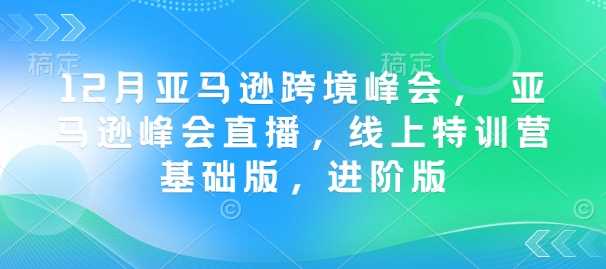 12月亚马逊跨境峰会， 亚马逊峰会直播，线上特训营基础版，进阶版-富业网创