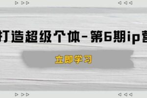 （14015期）打造 超级个体-第6期ip营：商业认知,产品设计,成交演练,解决知识变现难题