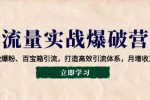 （14039期）流量实战爆破营：企微爆粉、百宝箱引流，打造高效引流体系，月增收万元
