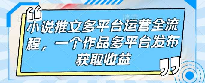 小说推文多平台运营全流程，一个作品多平台发布获取收益-富业网创