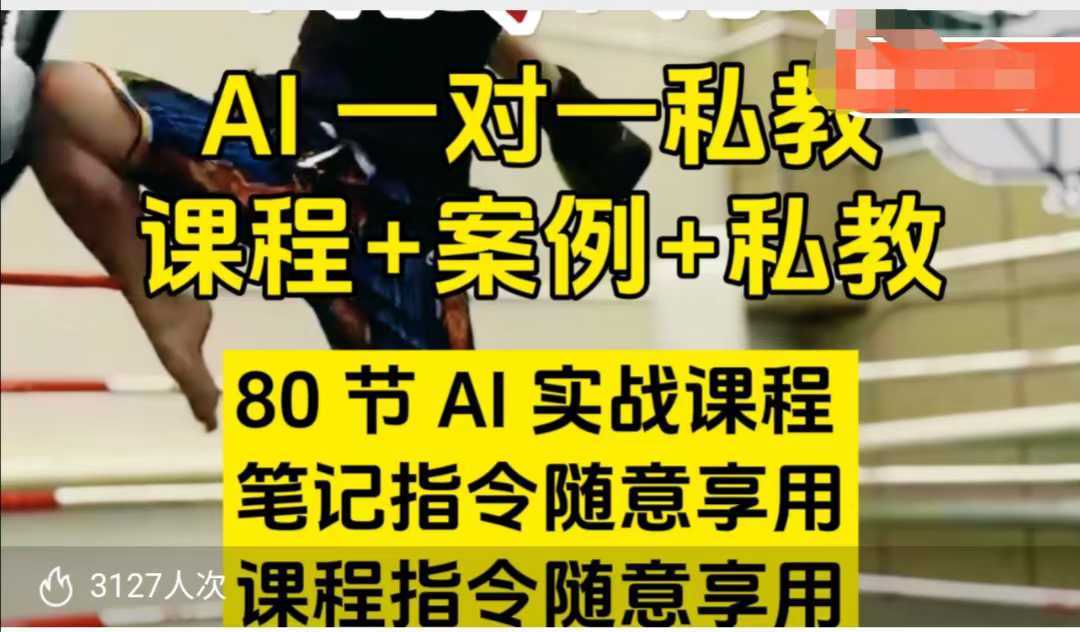 AI指令实战课，课程+案例，80节AI实战课程，笔记指令随意享用，课程指令随意享用-富业网创