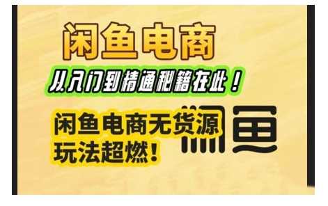 闲鱼电商实战课，从入门到精通秘籍在此，闲鱼电商无货源玩法超燃!-大海创业网