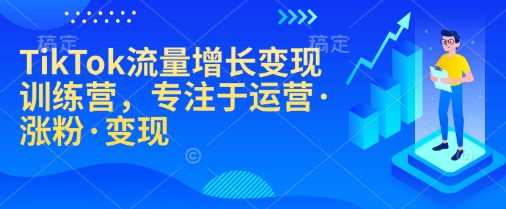 TikTok流量增长变现训练营，专注于运营·涨粉·变现-大海创业网