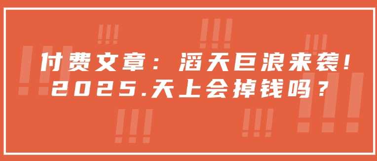 付费文章：滔天巨浪来袭！2025天上会掉钱吗？-大海创业网