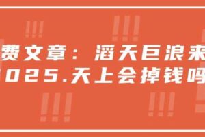 付费文章：滔天巨浪来袭！2025天上会掉钱吗？