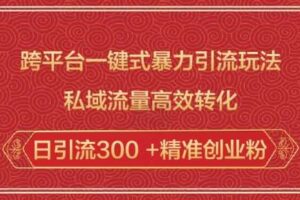 跨平台一键式暴力引流玩法，私域流量高效转化日引流300 +精准创业粉