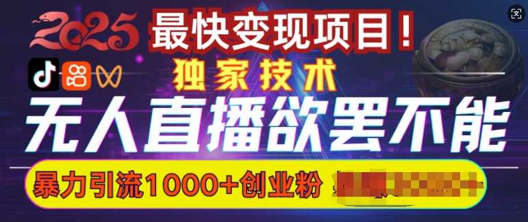 欲罢不能的无人直播引流，超暴力日引流1000+高质量精准创业粉-富业网创