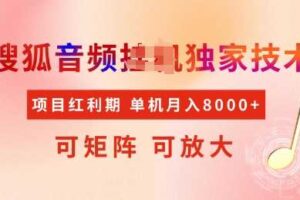 全网首发搜狐音频挂JI独家技术，项目红利期，可矩阵可放大，稳定月入8k【揭秘】