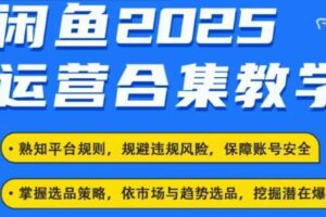 2025闲鱼电商运营全集，2025最新咸鱼玩法