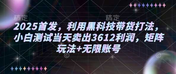 2025首发，利用黑科技带货打法，小白测试当天卖出3612利润，矩阵玩法+无限账号【揭秘】-富业网创