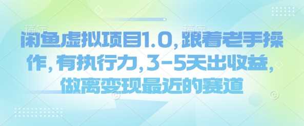 闲鱼虚拟项目1.0，跟着老手操作，有执行力，3-5天出收益，做离变现最近的赛道-富业网创