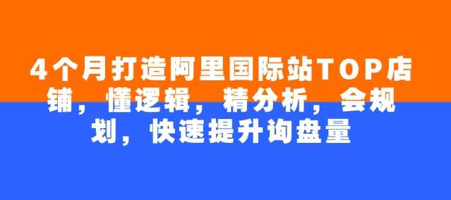 4个月打造阿里国际站TOP店铺，懂逻辑，精分析，会规划，快速提升询盘量-富业网创